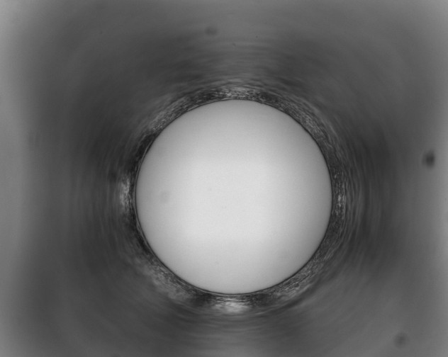 X0000100420610200806060949