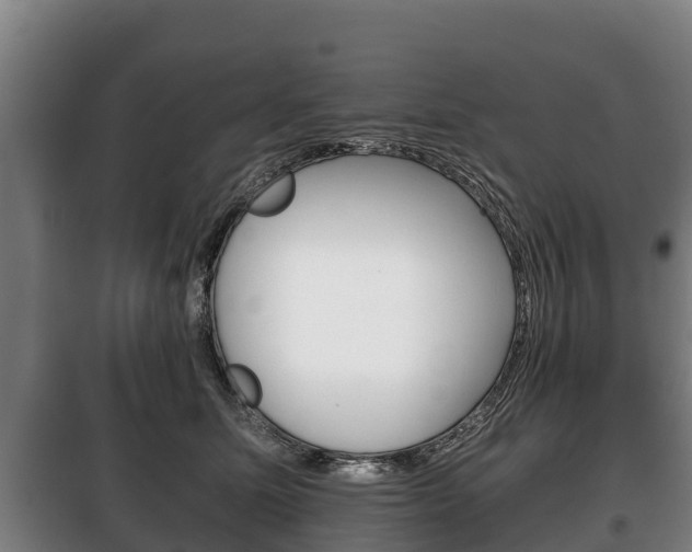 X0000100420611200806060949