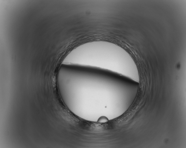 X0000100420613200806060949