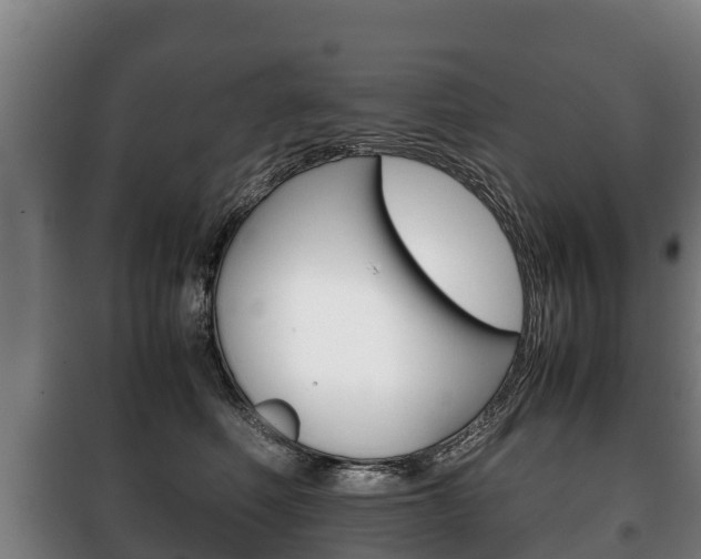 X0000100420614200806060949