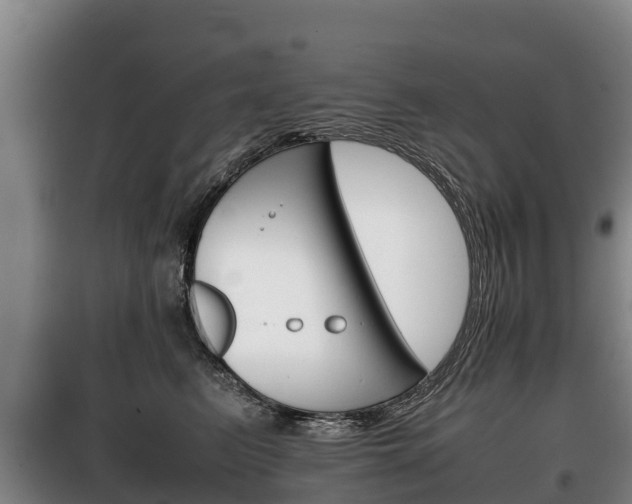X0000100420615200806060949