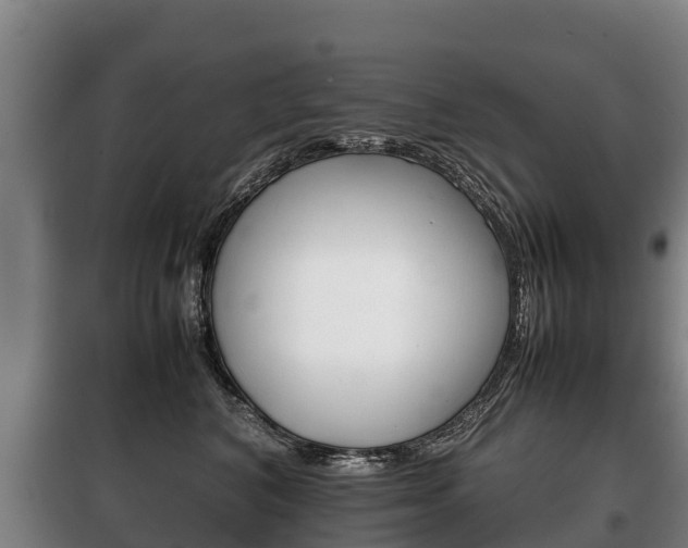 X0000100420616200806060949
