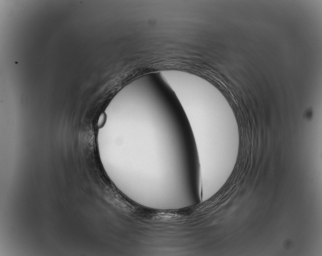 X0000100420617200806060949