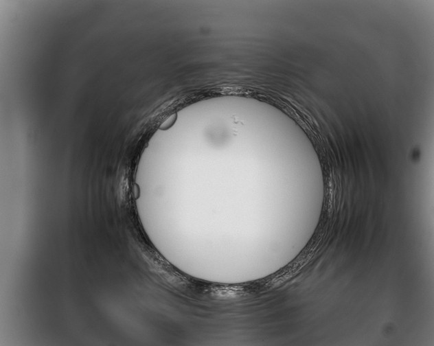 X0000100420618200806060949