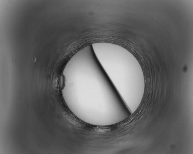 X0000100420619200806060949