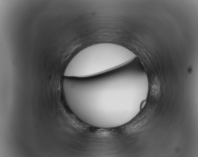 X0000100420620200806060949