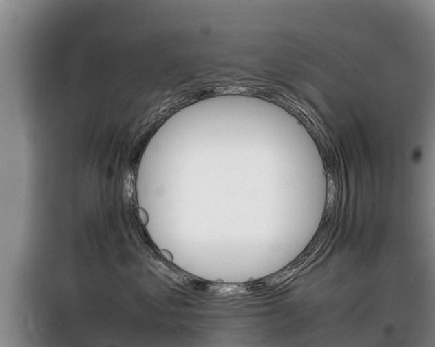 X0000100420621200806060949