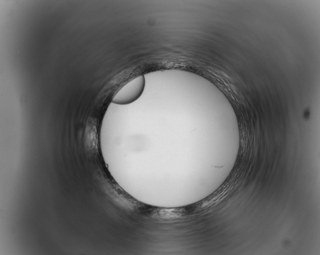 X0000100420622200806060949