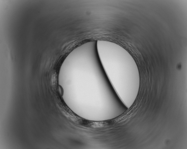 X0000100420623200806060949