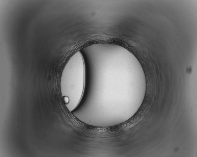 X0000100420624200806060949