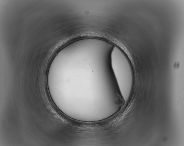 X0000100420625200806060948