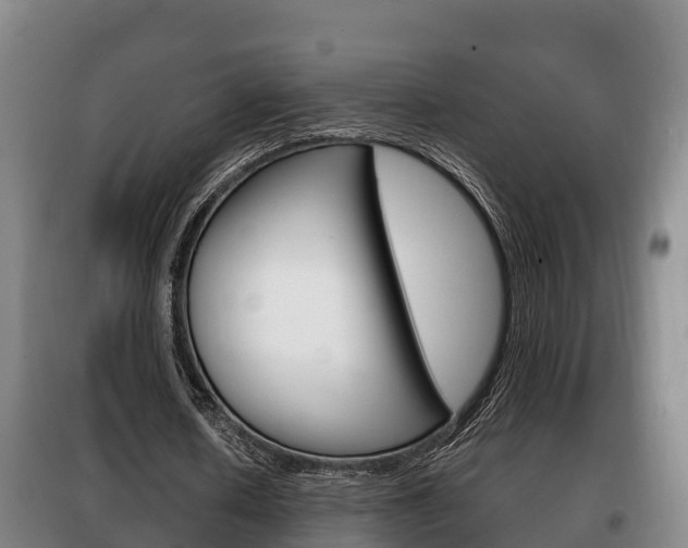 X0000100420626200806060948