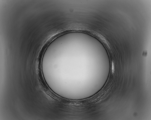 X0000100420627200806060948