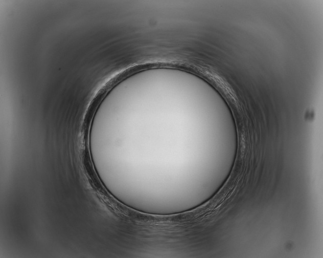 X0000100420628200806060949