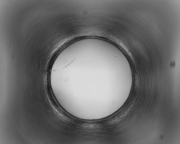 X0000100420629200806060949