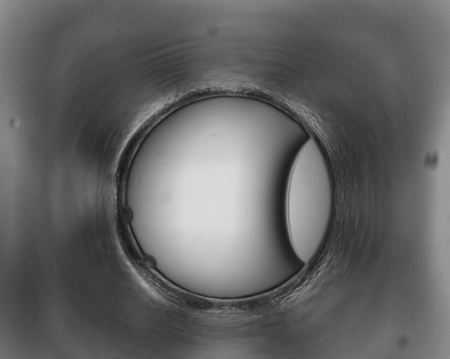 X0000100420630200806060949