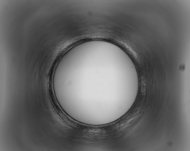 X0000100420631200806060949