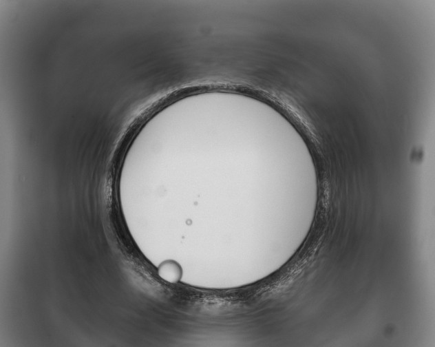 X0000100420632200806060949