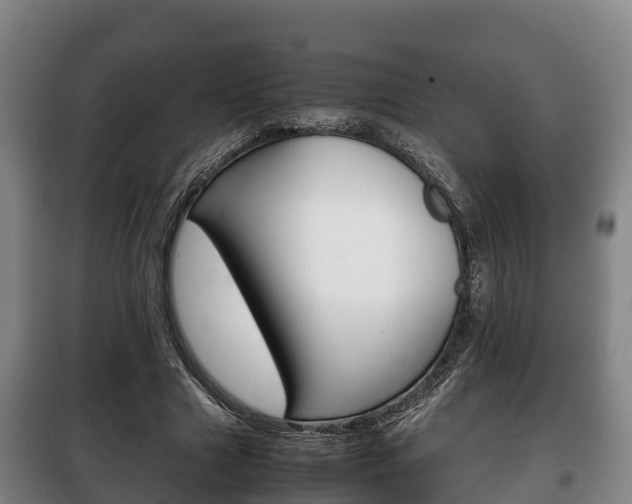 X0000100420633200806060949