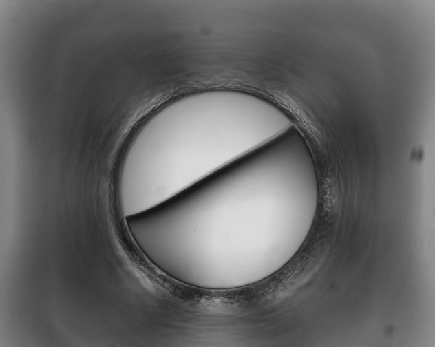 X0000100420634200806060949