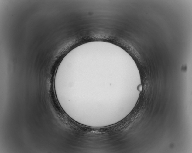 X0000100420635200806060949