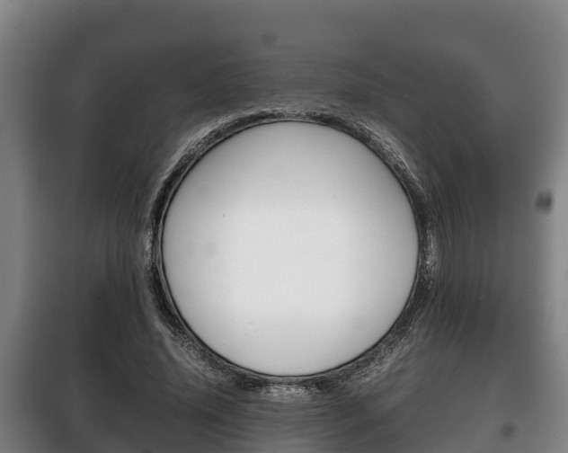X0000100420636200806060949