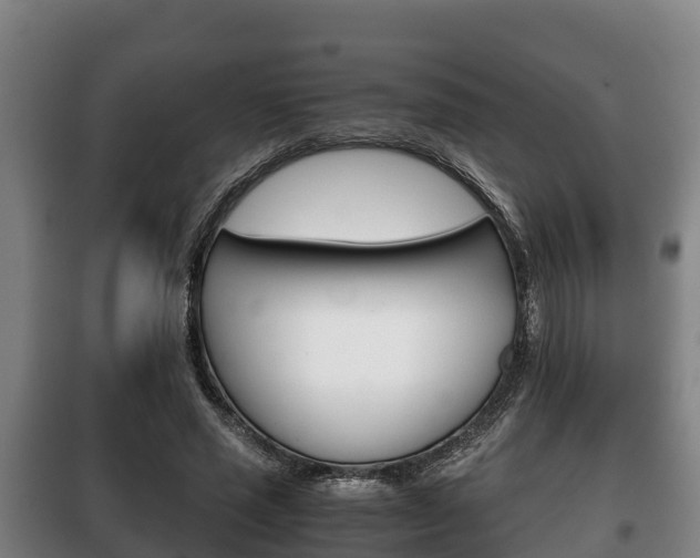 X0000100420637200806060949