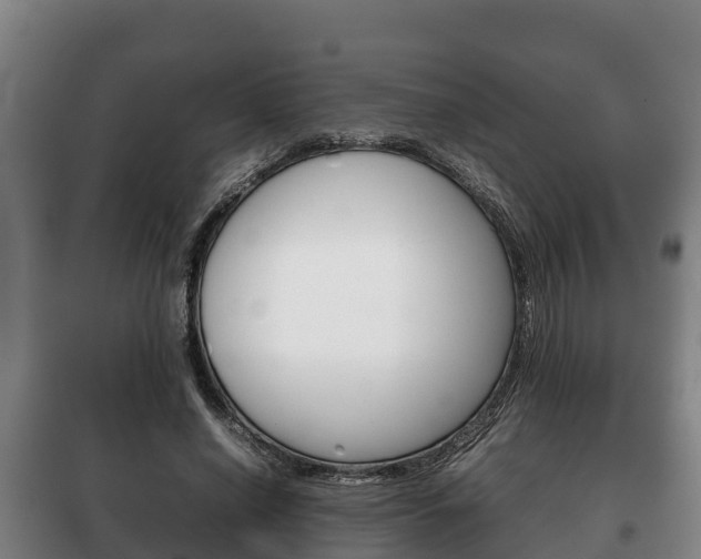 X0000100420638200806060949