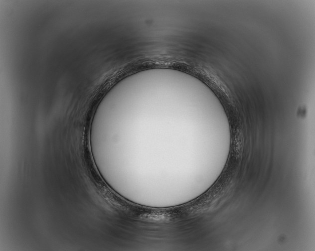 X0000100420639200806060949