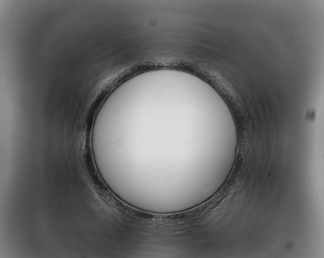 X0000100420640200806060949