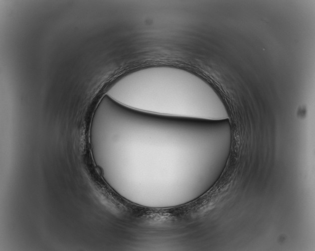X0000100420642200806060949