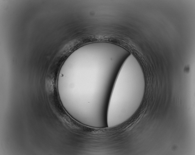 X0000100420644200806060949