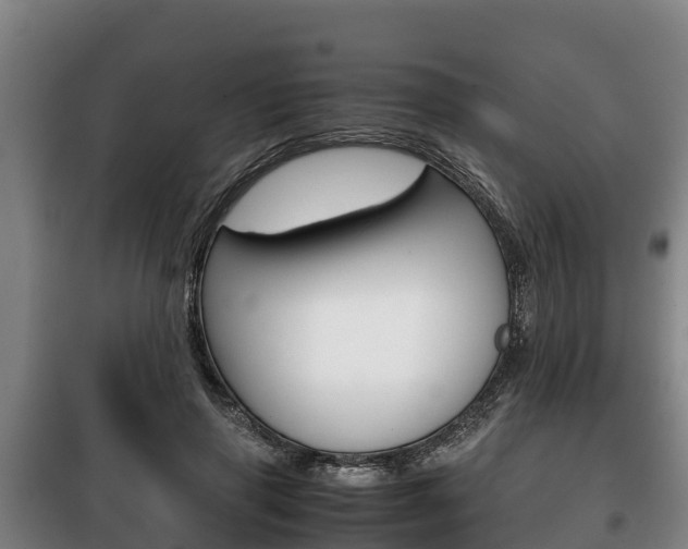 X0000100420645200806060949