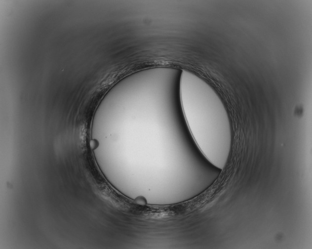 X0000100420646200806060949