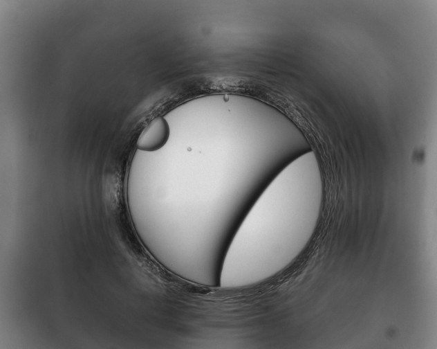 X0000100420648200806060949