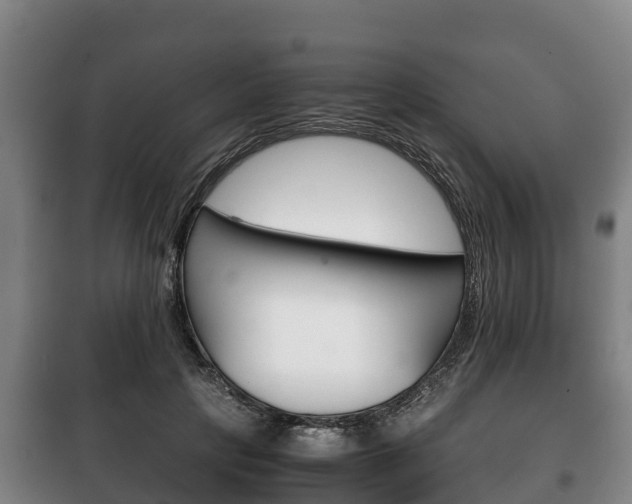 X0000100420649200806060949