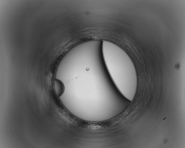 X0000100420650200806060949