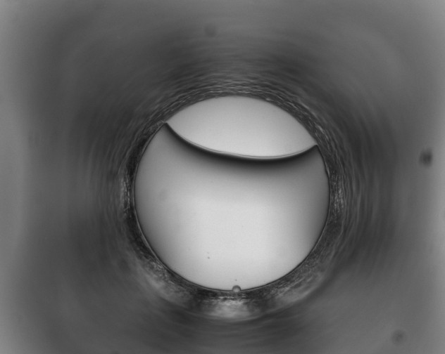 X0000100420651200806060949