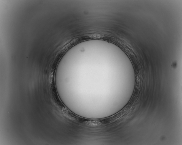 X0000100420652200806060949