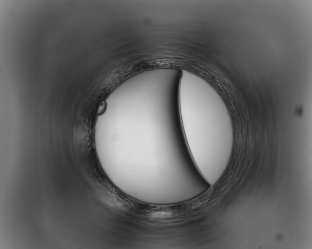 X0000100420653200806060949