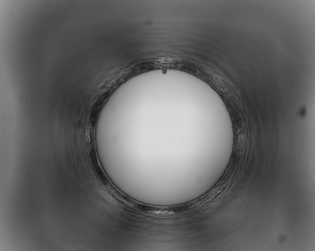 X0000100420654200806060949
