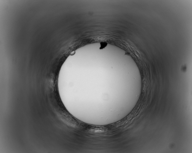 X0000100420655200806060949