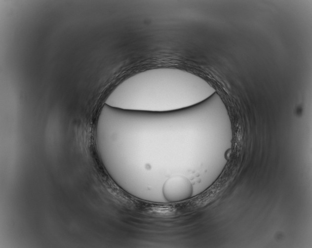 X0000100420659200806060949