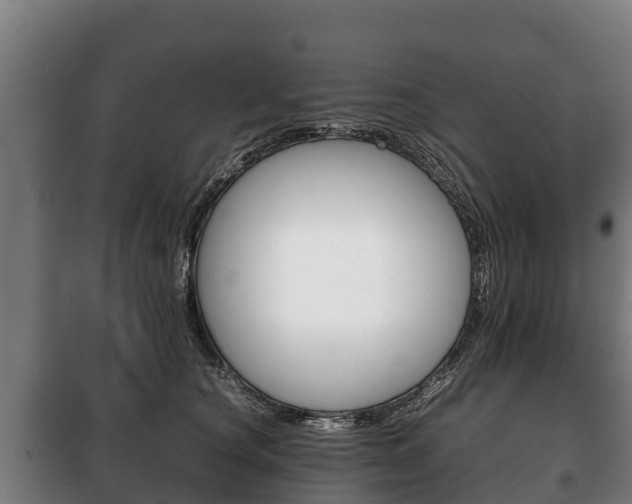X0000100420660200806060949