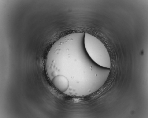 X0000100420662200806060949