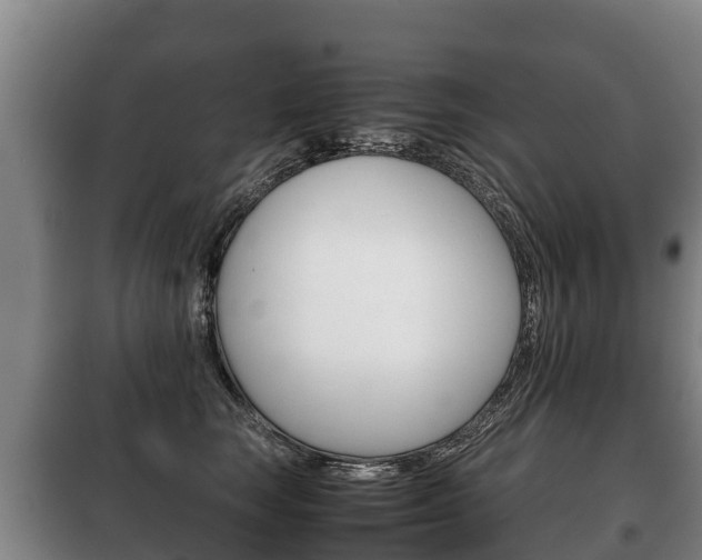 X0000100420663200806060949