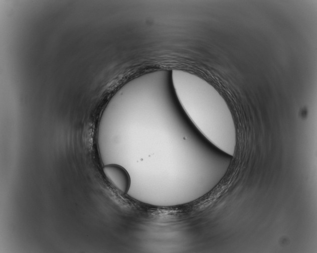 X0000100420664200806060949