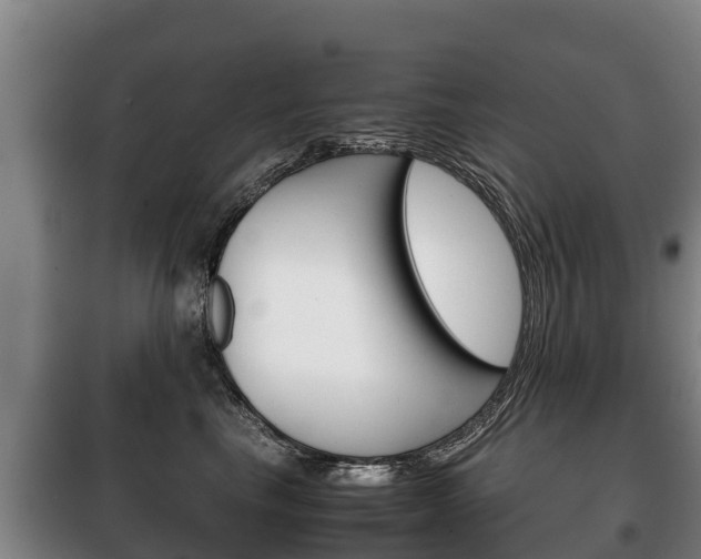 X0000100420665200806060949