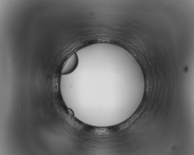 X0000100420666200806060949