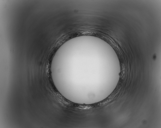 X0000100420667200806060949